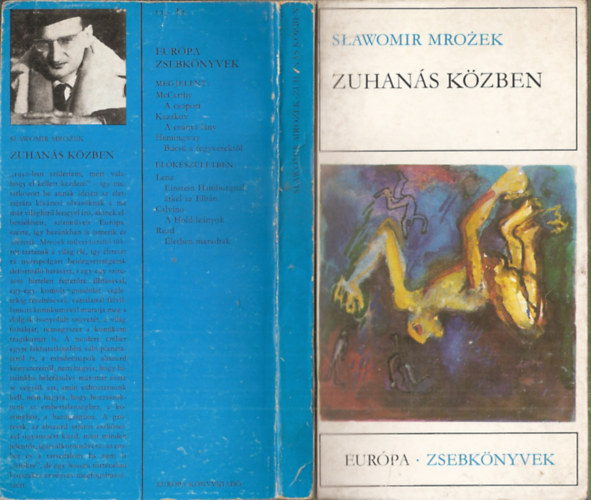 Zuhans kzben (Elbeszlsek)