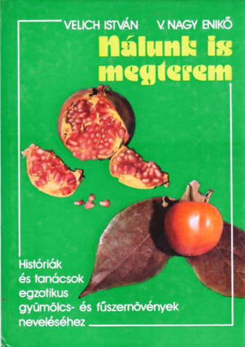 Nlunk is megterem