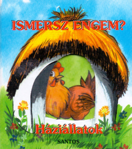 Ismersz engem? - Hzillatok