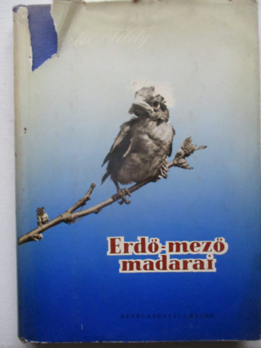 Erd-mez madarai