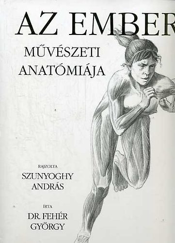 Az ember mvszeti anatmija
