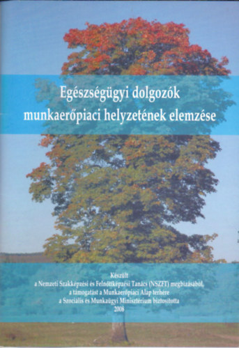 Eegszsggyi dolgozk munkaerpiaci helyzetnem elemzse