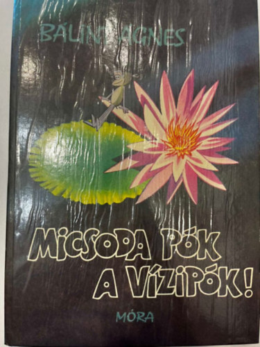 Micsoda pk a vzipk!