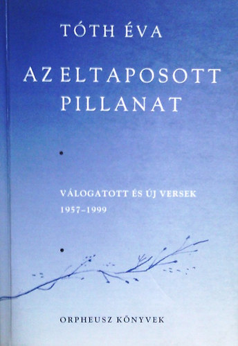 Az eltaposott pillanat