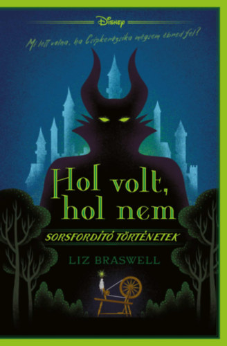 Liz Braswell - Disney - Hol volt, hol nem