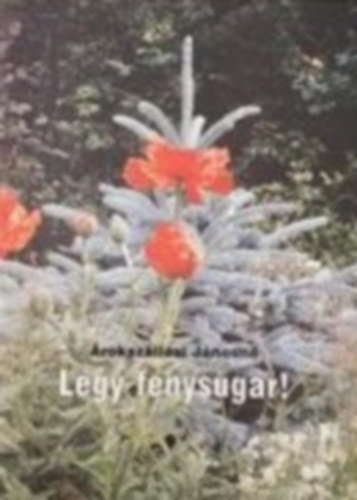 Árokszállási Jánosné - Légy fénysugár