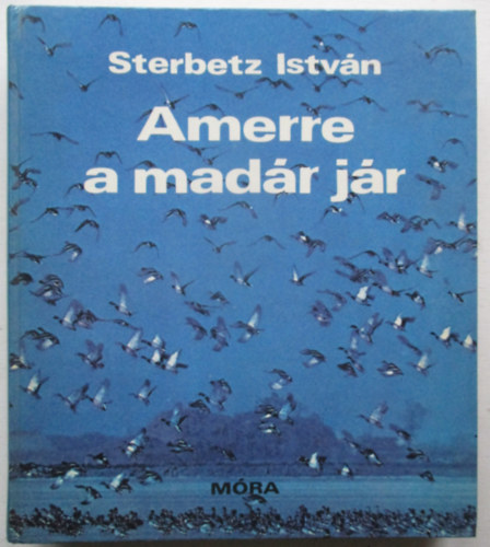 Amerre a madr jr