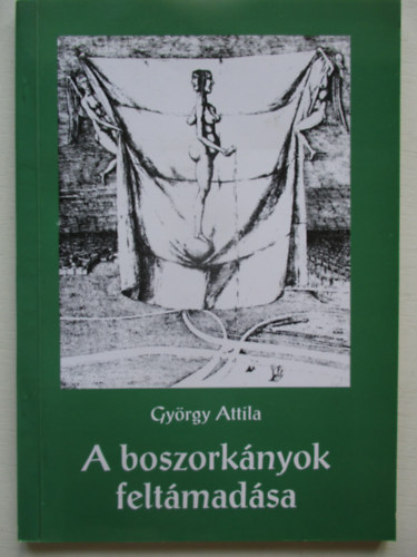 A boszork�nyok felt�mad�sa