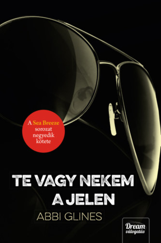 Abbi Glines - Te vagy nekem a jelen