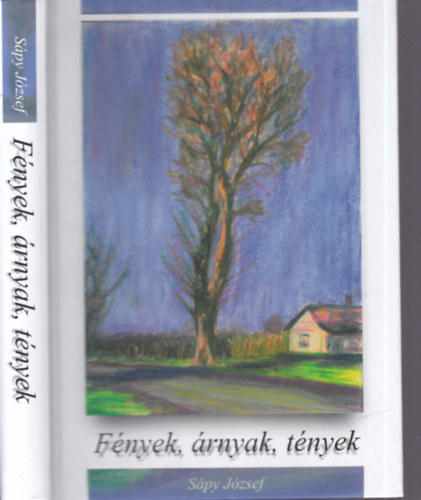 Fnyek, rnyak, tnyek (letem, emlkeim - Adatok Fldes nagykzsg helytrtnethez) - Dediklt
