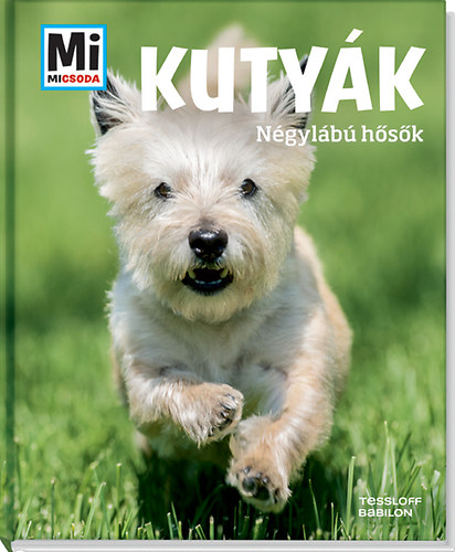 Kutyk - Ngylb hsk