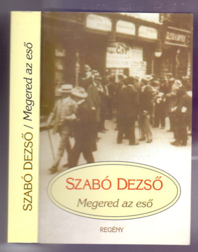 Megered az es� (reg�ny)