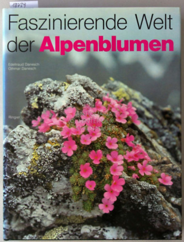 Faszinierende Welt der Alpenblumen