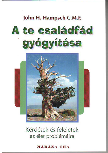 A te csaldfd gygytsa