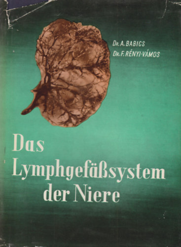 Das Lymphgef�sssystem der Niere und seine Bedeutung in der Nierenpathologie und Chirurgie