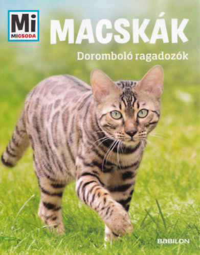 Macskk (Mi micsoda)