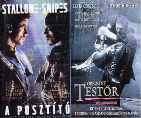 2 filmknyv: A pusztt - Tbb, mint testr - Intercom