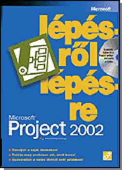Microsoft Project 2002 lpsrl lpsre