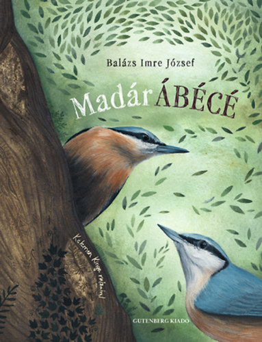 MadrBC