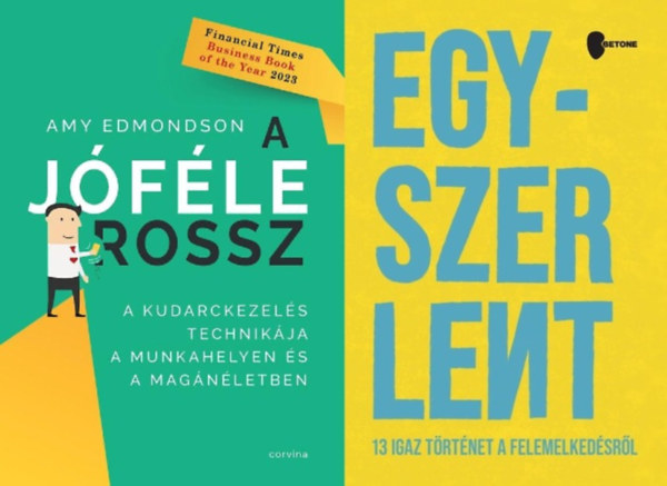 2 db kr�ziskezel�sr�l: Egyszer Lent - 13 igaz t�rt�net a felemelked�sr�l  + A j�f�le rossz