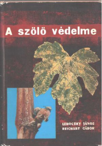 A sz�l� v�delme Hat�roz� a k�rosod�st jelz� elv�ltoz�sok alapj�n, Vir�gzati �s alaki rendelleness�gek, A t�kefej, a t�rzs �s a vessz� elv�ltoz�sainak