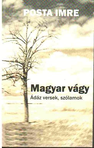 Magyar vgy