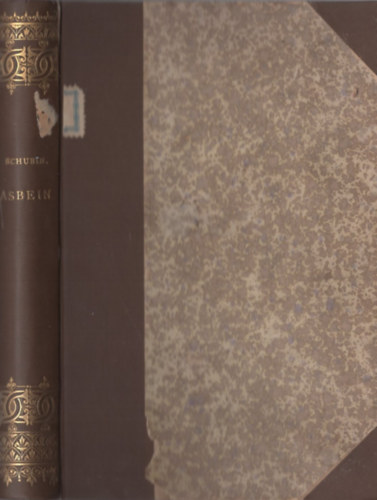 Asbein. Egy m�v�sz �let�b�l.