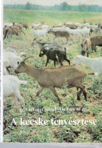 A kecske teny�szt�se