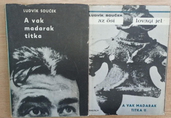 A vak madarak titka - Az si lovagi jel (A vak madarak titka II.)