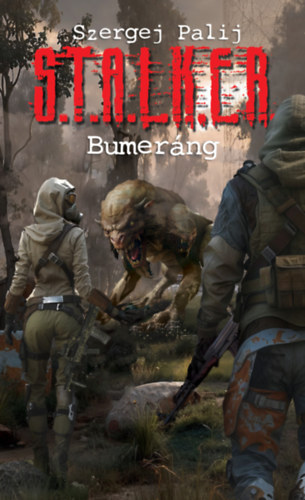 S.T.A.L.K.E.R. - Bumerng