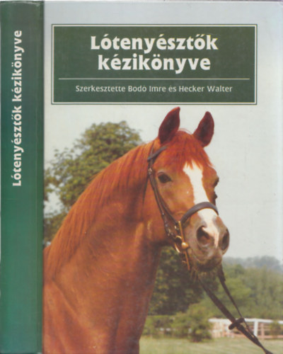 L�teny�szt�k k�zik�nyve