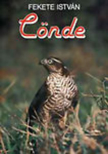 Fekete Istvn - Cnde - Csend (2 m)