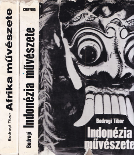 2 db m�v�szett�rt�net: Afrika m�v�szete + Indon�zia m�v�szete