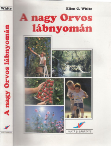 A nagy Orvos lbnyomn