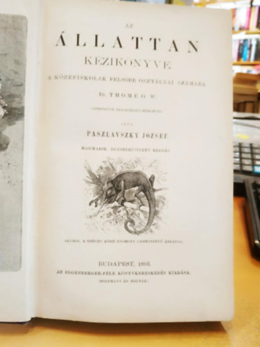 Az llattan kziknyve