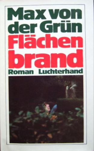 Max von der Gr�n - Fl�chenbrand