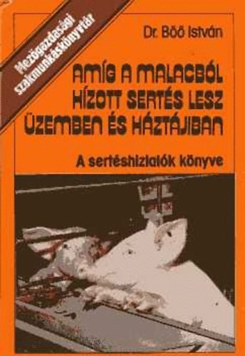 Dr. Böő István - Amíg a malacból hízott sertés lesz üzemben és háztájiban