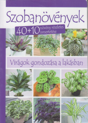 Dobos va  (Szerk.) Pernyi Jzsef (szerk.) - Szobanvnyek - Virgok gondozsa a laksban