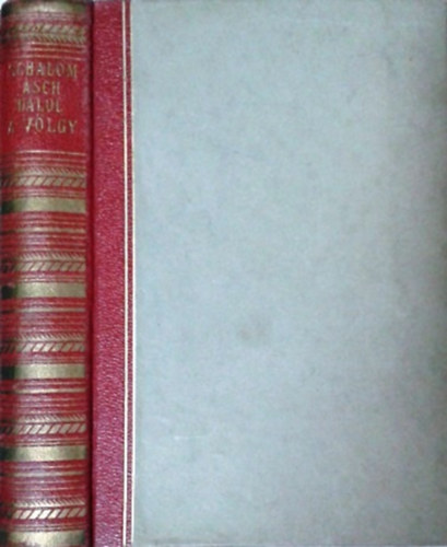 Schalom Asch - Dalol a v�lgy