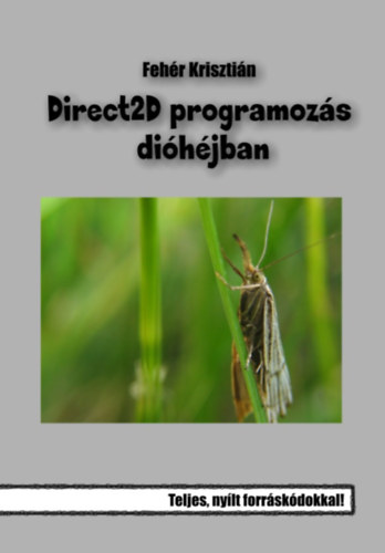 Direct2D programozs dihjban