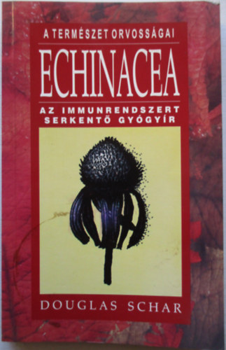 Echinacea - Az immunrendszert serkent gygyr
