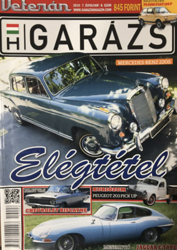 Vetern - GARZS - 2019/7/8