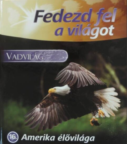 Vadvilg - Amerika lvilga