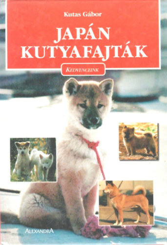 Japn kutyafajtk