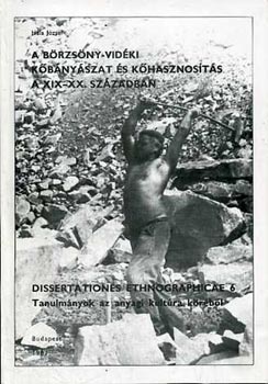 A Brzsny-vidki kbnyszat s khasznosts a XIX-XX. szzadban