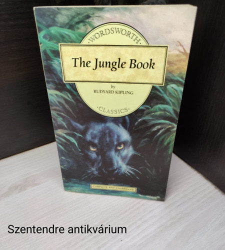 Rudyard Kipling - The Jungle Book