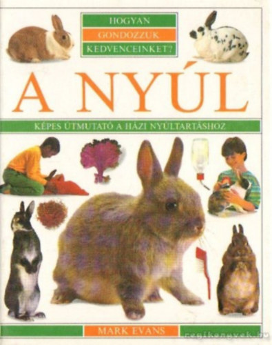 A nyl Kpes tmutat a hzi nyltartshoz