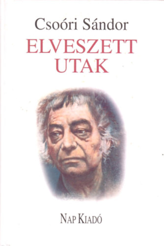 Elveszett utak