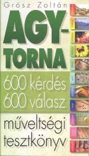 Agytorna