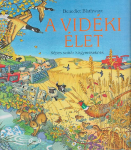 A vidki let - Kpes sztr kisgyerekeknek